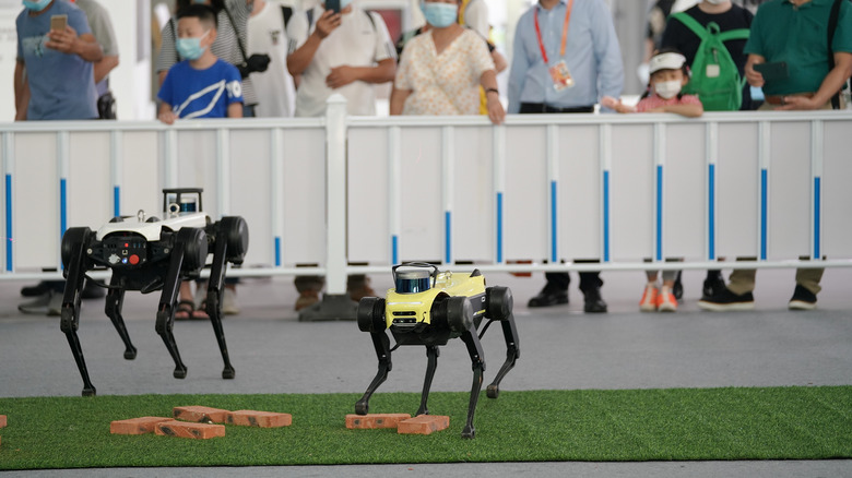 robot dogs autonomous china conference
