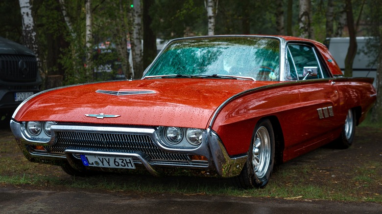 Thunderbird parked on grass 