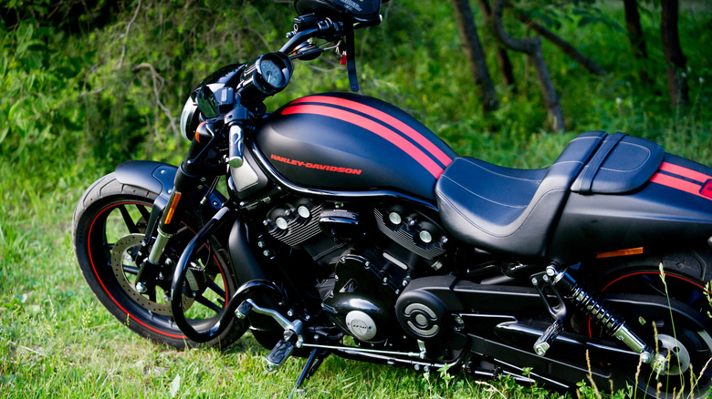 Black and red 2008 Harley-Davidson Night Rod Special parked in grass