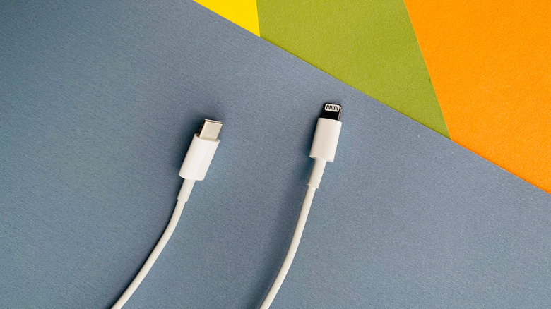 Apple Lightning vs USB-C cables