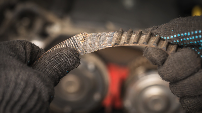 Person holding worn timing belt