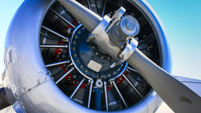 Wasp radial engine in plane