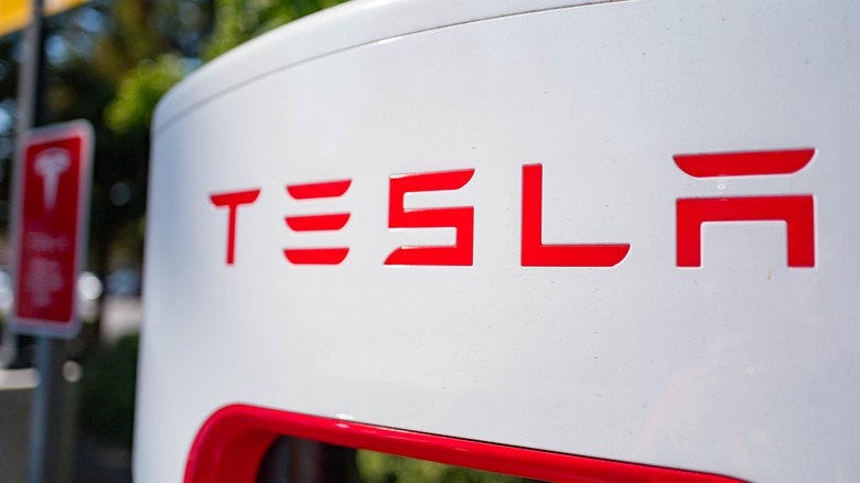 The Tesla logo on white material