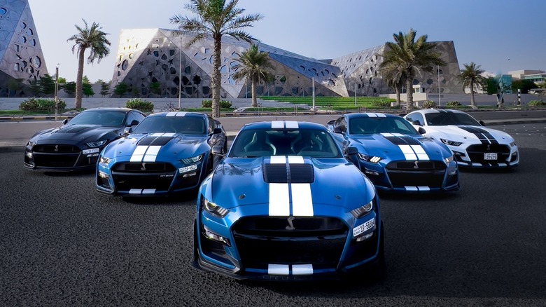Row of Ford Mustang GT500s parked on display in flying V formation