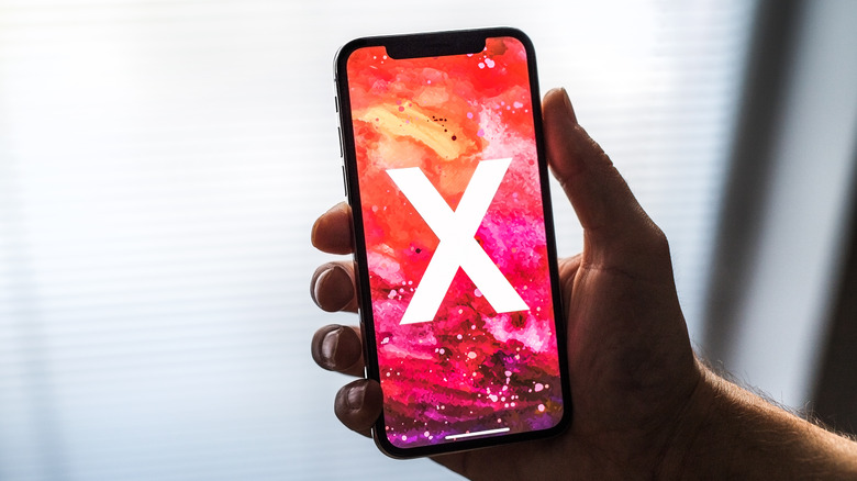 iPhone X in hand