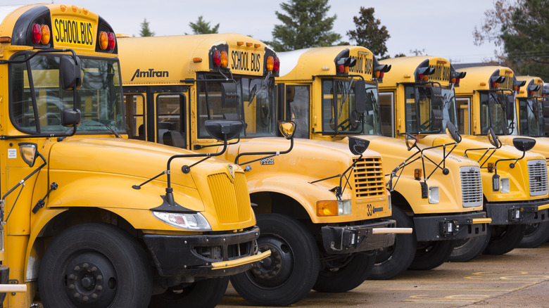 Angled view of multiple school buses lined up.