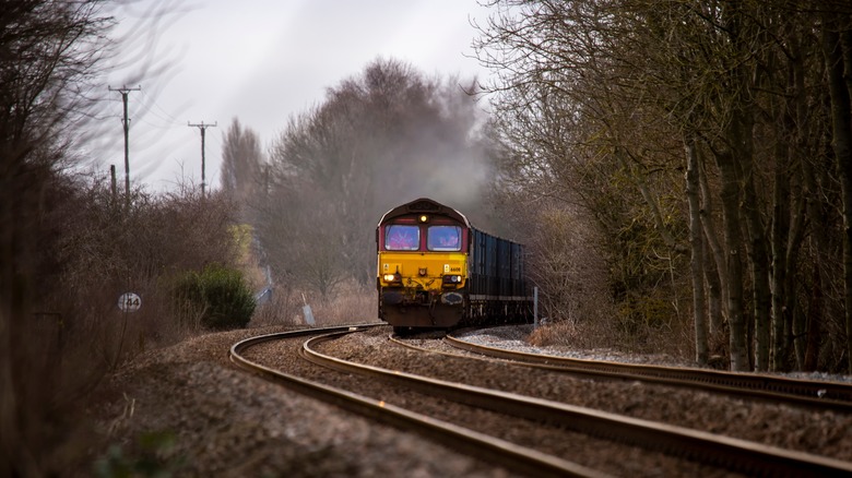 A freight train churns down a track, flanked by forest trees