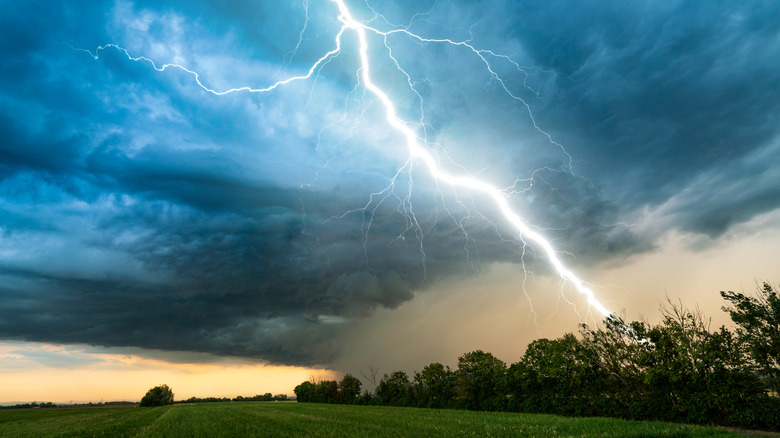 Thunder and lightning strike in field