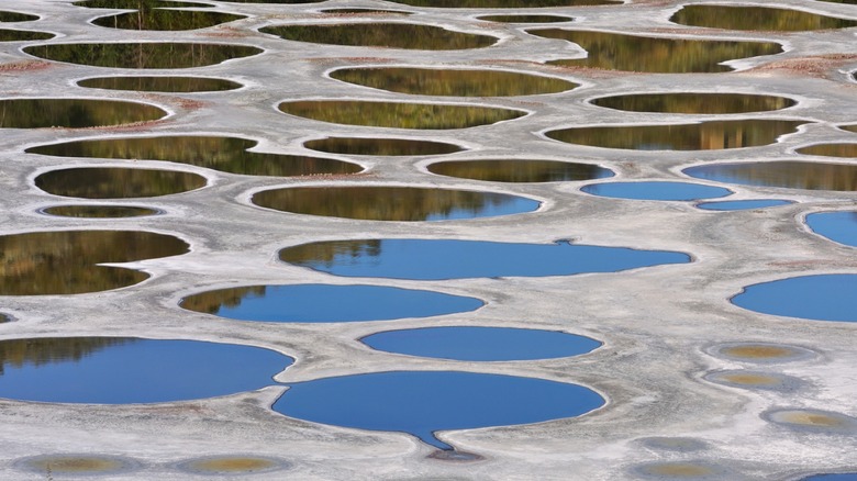 zoomed image of Spotted Lake 