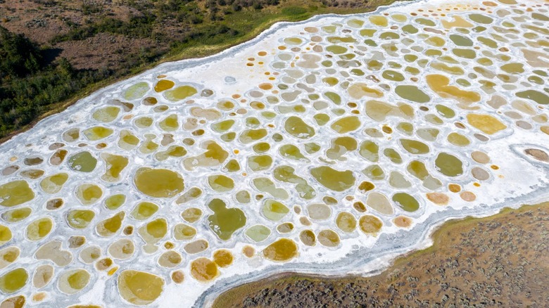 Spotted Lake overhead view