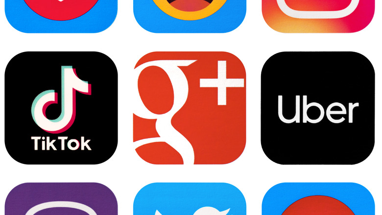 Google+ icon