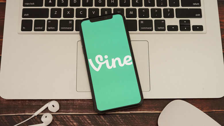 Vine logo