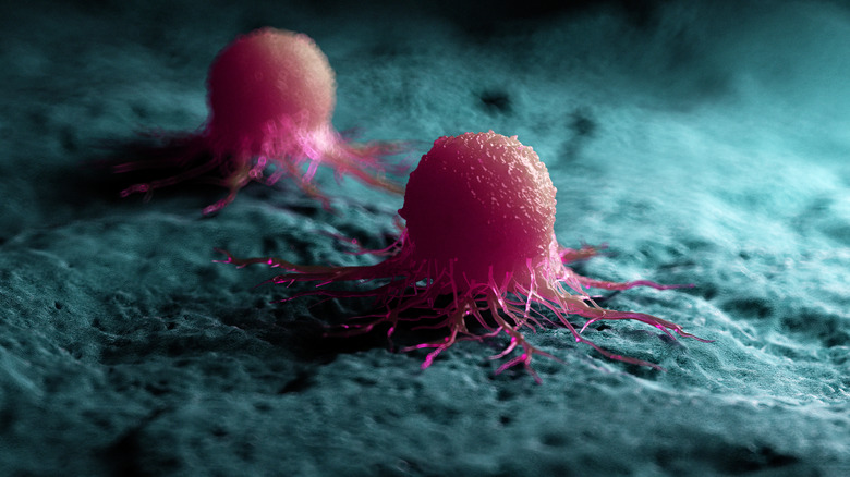 Cancer cells microscopic view