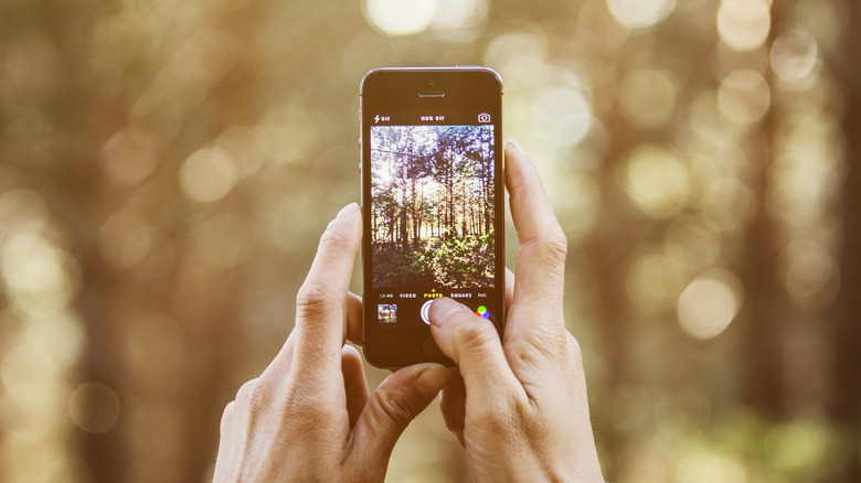 person clicking photo with smartphone