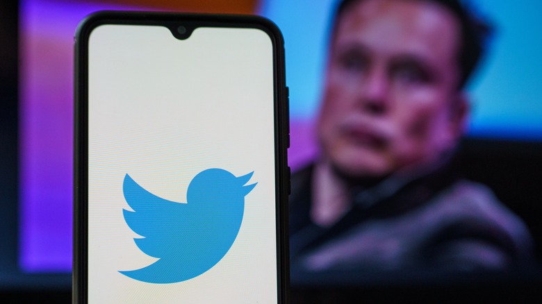 Musk and the Twitter logo