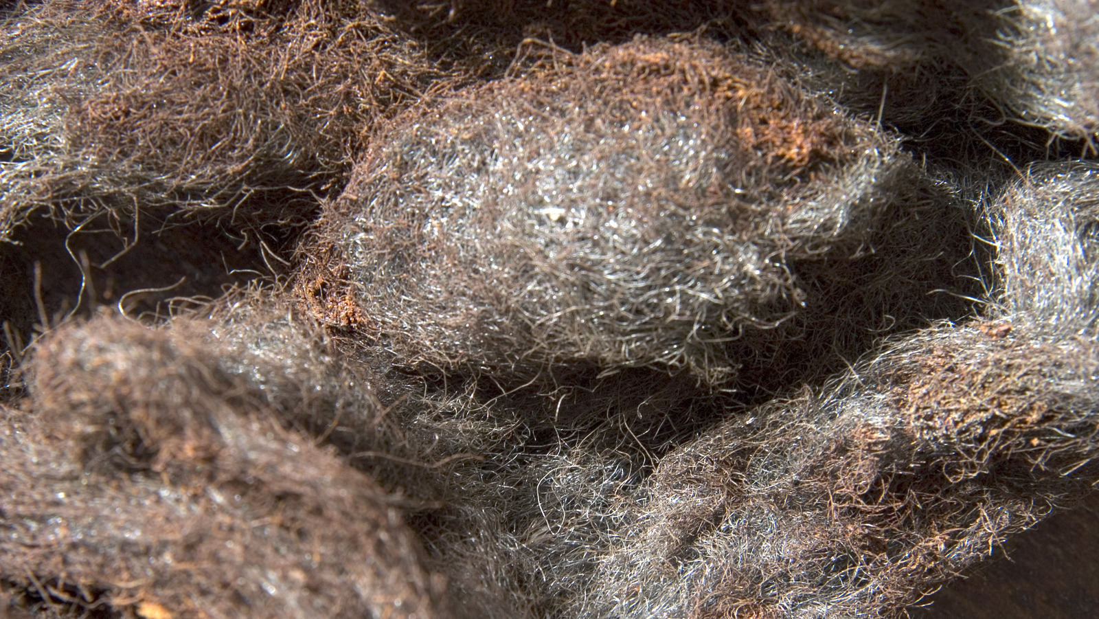 the-two-ways-steel-wool-can-breathe-new-life-into-your-car