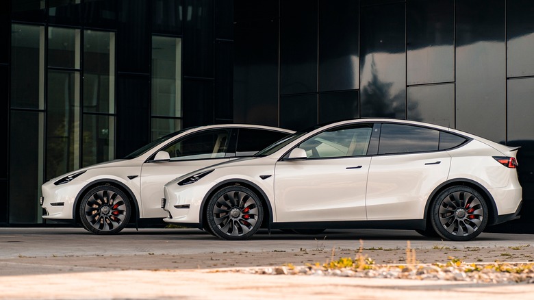 Tesla Model Y cars parked