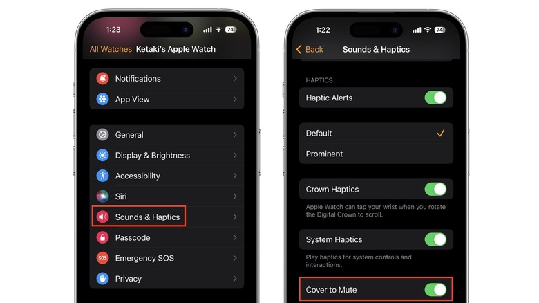 Apple Watch Cover to Mute setting