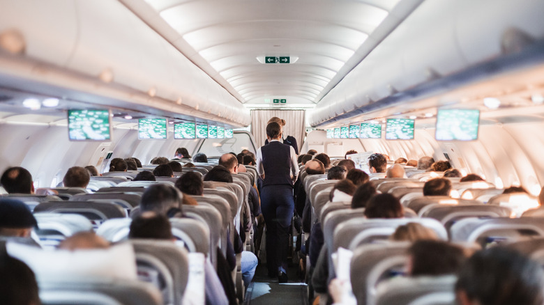 view from back of the plane