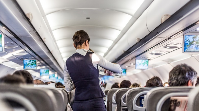 air stewardess serving people