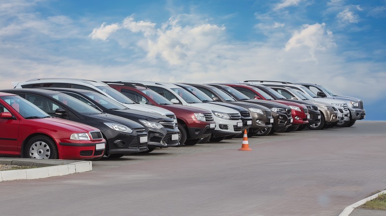 Cars lined up at a used car dealership