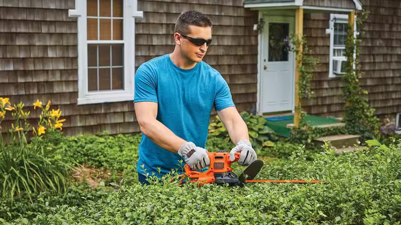 Black + Decker Hedge Trimmer