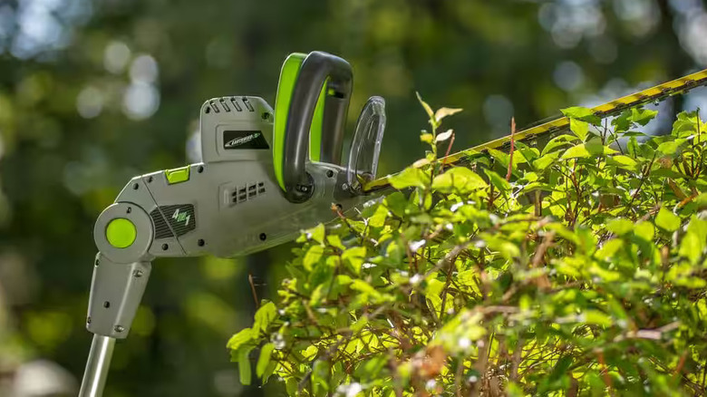 Earthwise 2 in 1 Pole/Hedge Trimmer