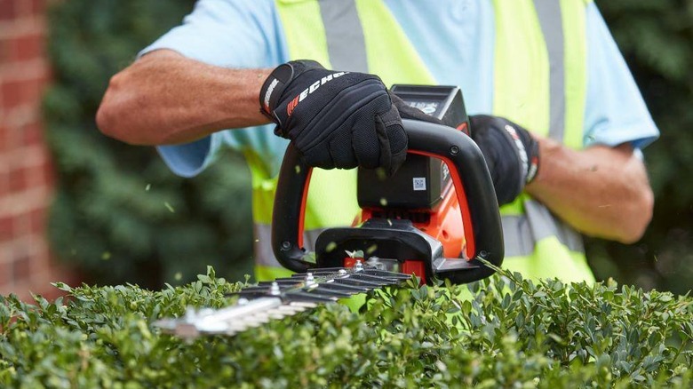 Echo Hedge Trimmer