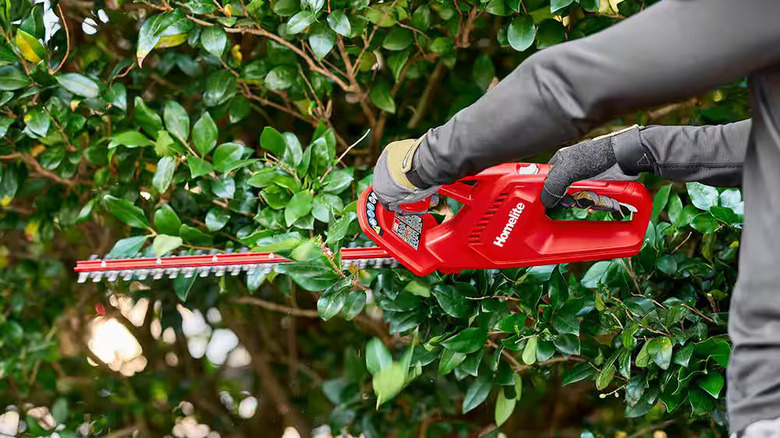 Homelite Hedge Trimmer