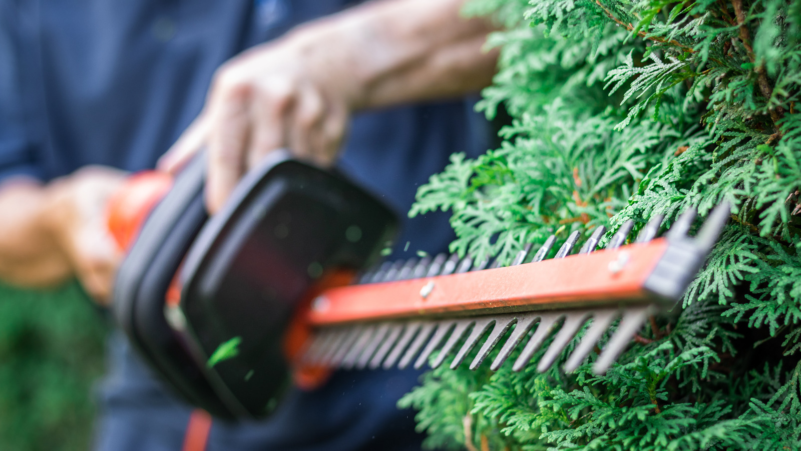 The Most Powerful Electric Hedge Trimmers Available From Every Major Brand