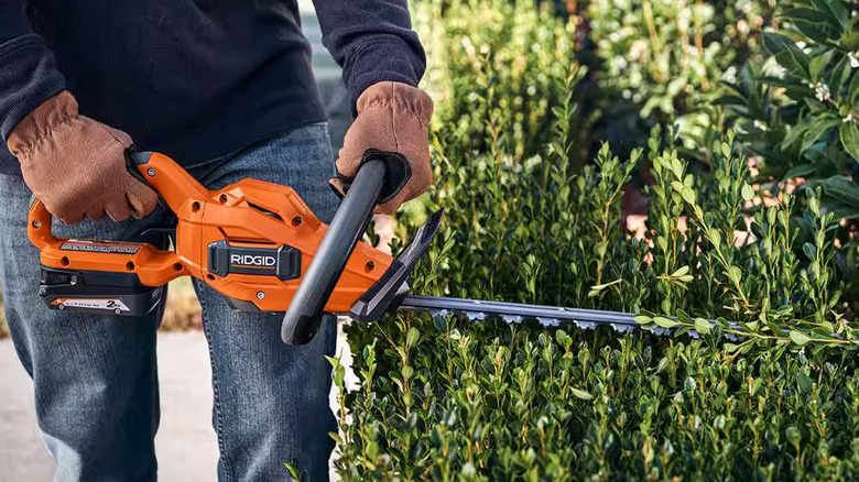 Ridgid Hedge Trimmer