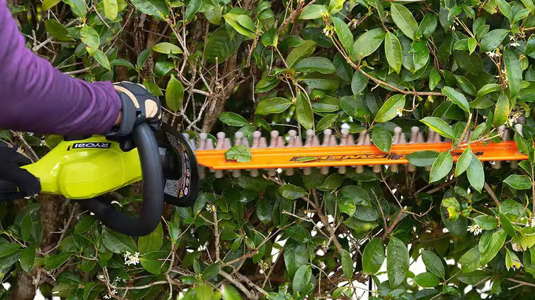 Ryobi One+ Hedge Trimmer