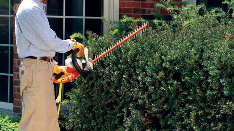 Stihl HSE 70 Hedge Trimmer