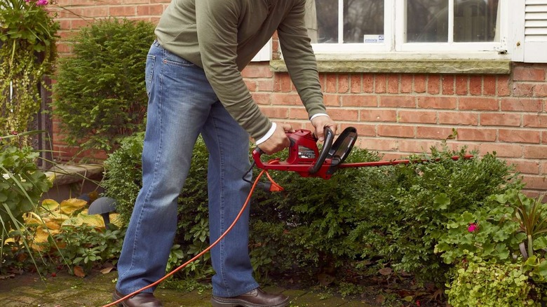 Toro Hedge Trimmer