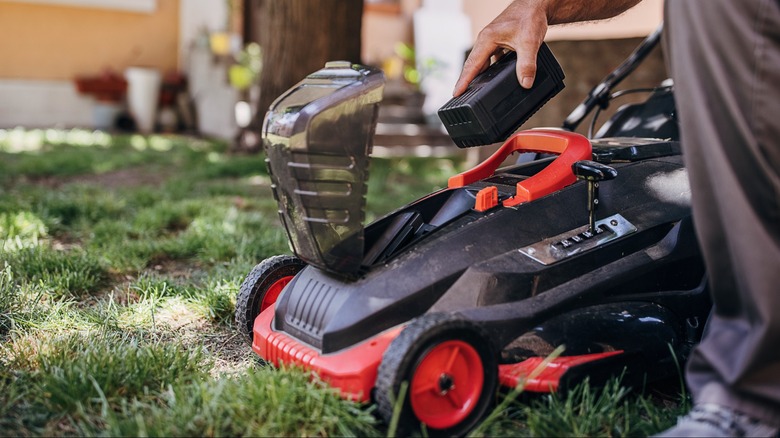 mowing lawn, focus on grass