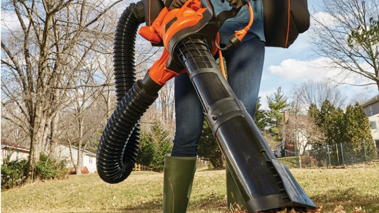 Person using leaf vacuum on leaves