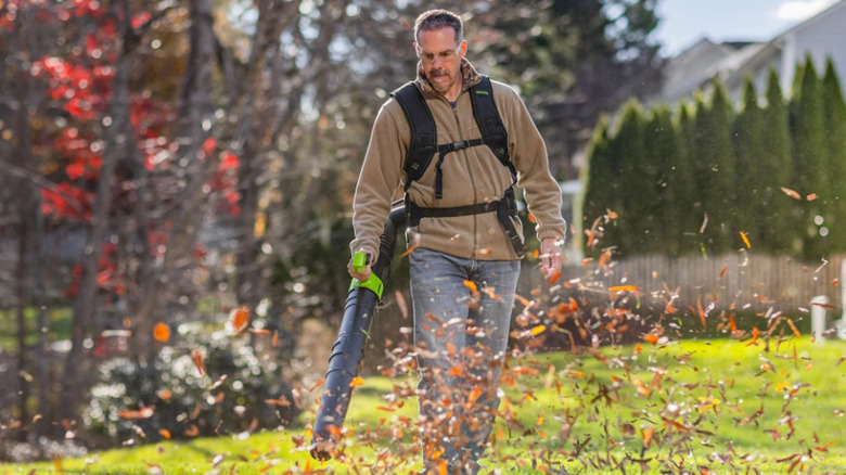 Person using Greenworks leaf blower