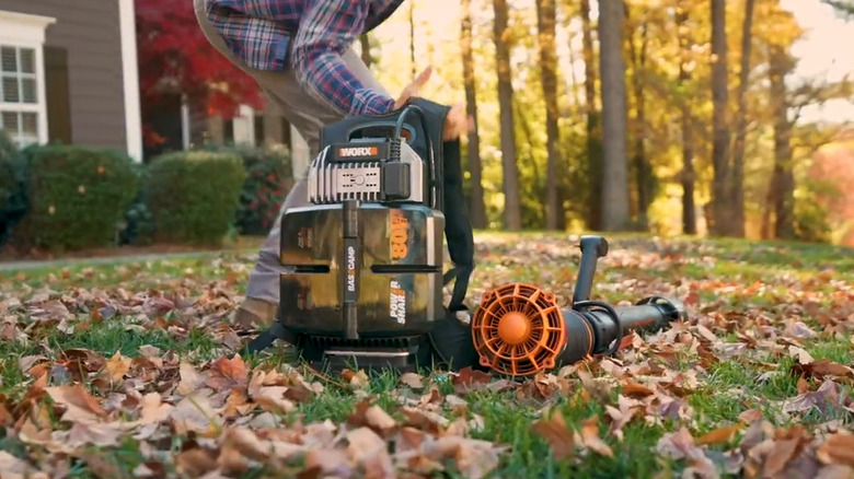 Person lifting Worx leaf blower