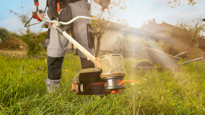 Gardener uses string trimmer