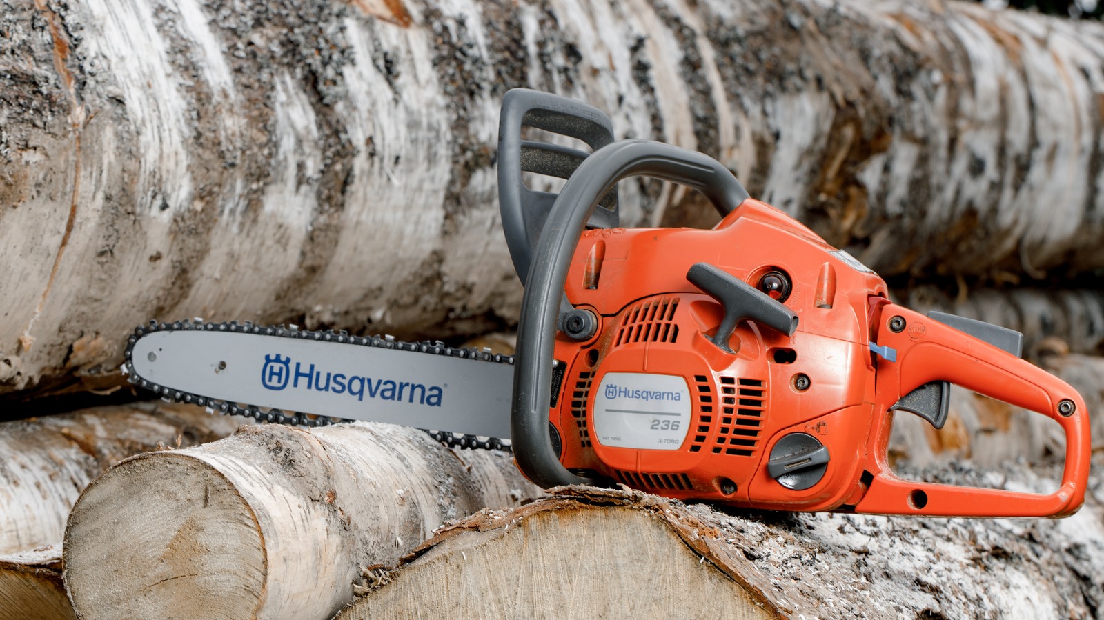 These Are The Most Powerful Gas-Powered Chainsaws Available From Every ...