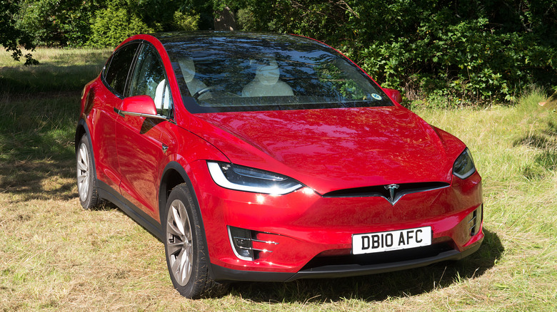 Tesla Model X on grass