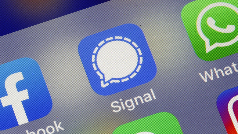 signal app iphone