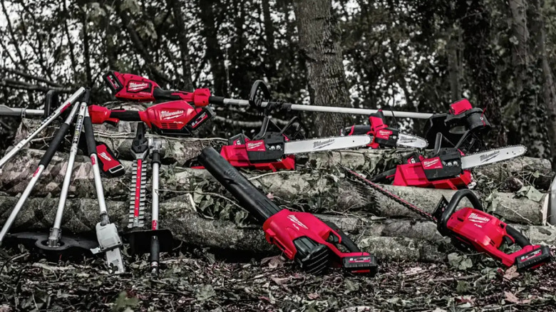 Tools on display on ground and cut down tree trunks