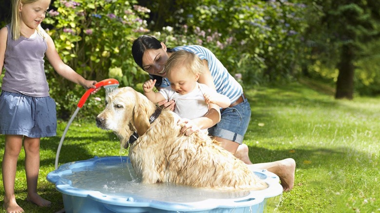 Family showering a dog outdoors