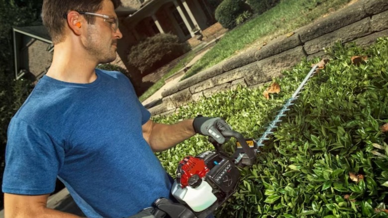 Man using hedge trimmer on hedge