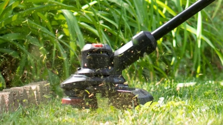 String trimmer cutting through grass and weeds