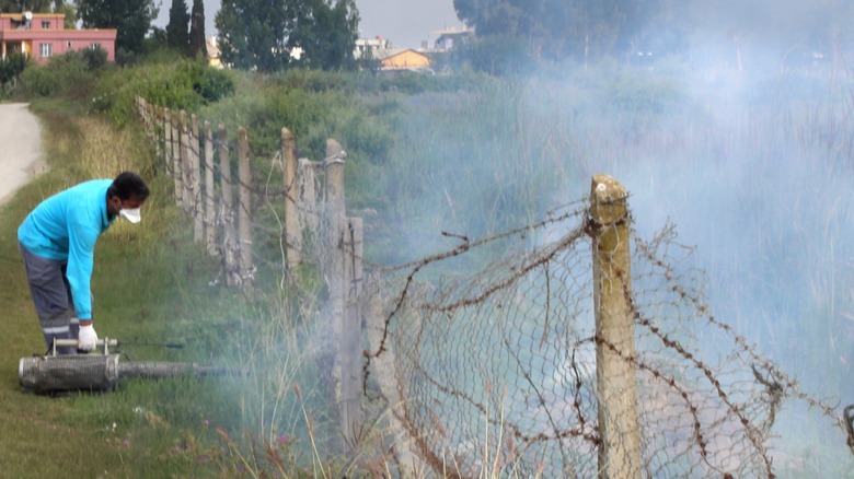 fogging roadside to kill mosquitos