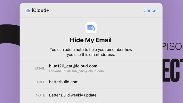 iCloud+ Hide Email feature