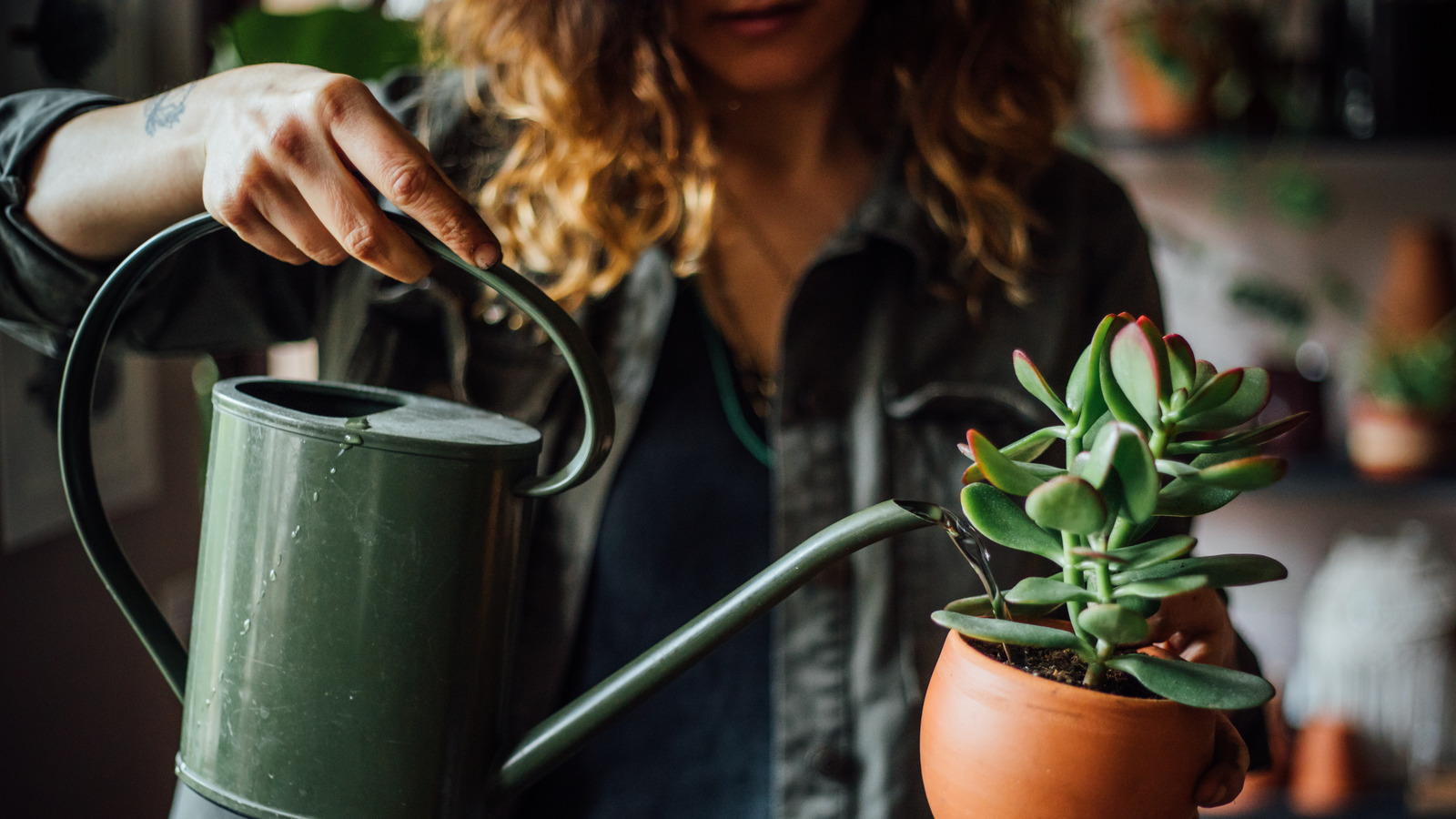 This Arduino Project Will Change How You Water Your Plants