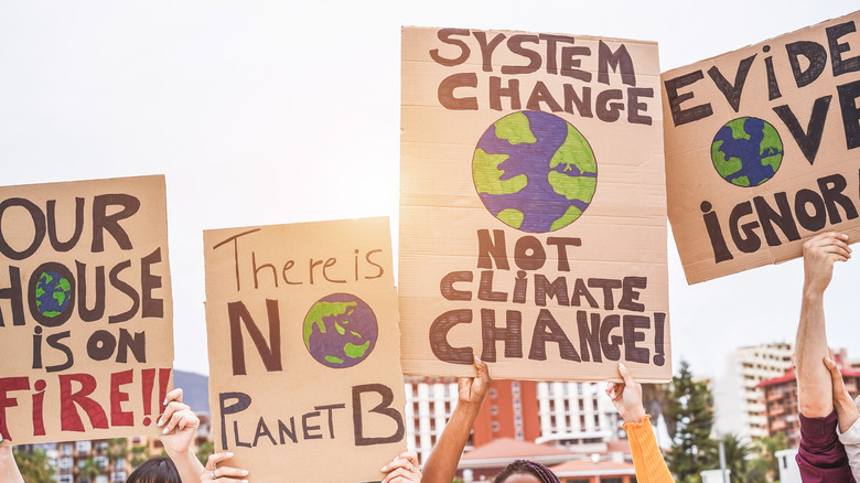 green protest signs